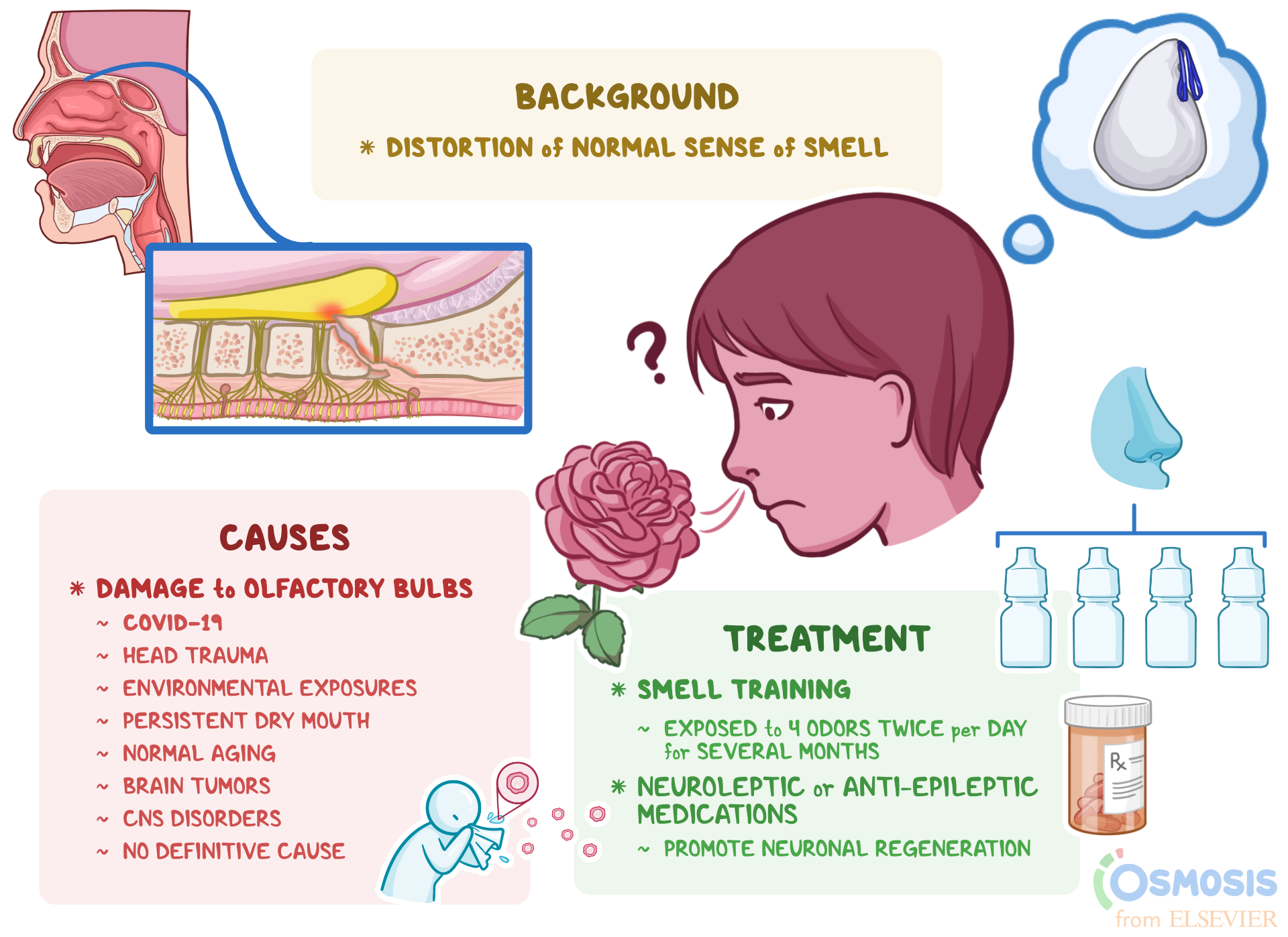 Cause of smell