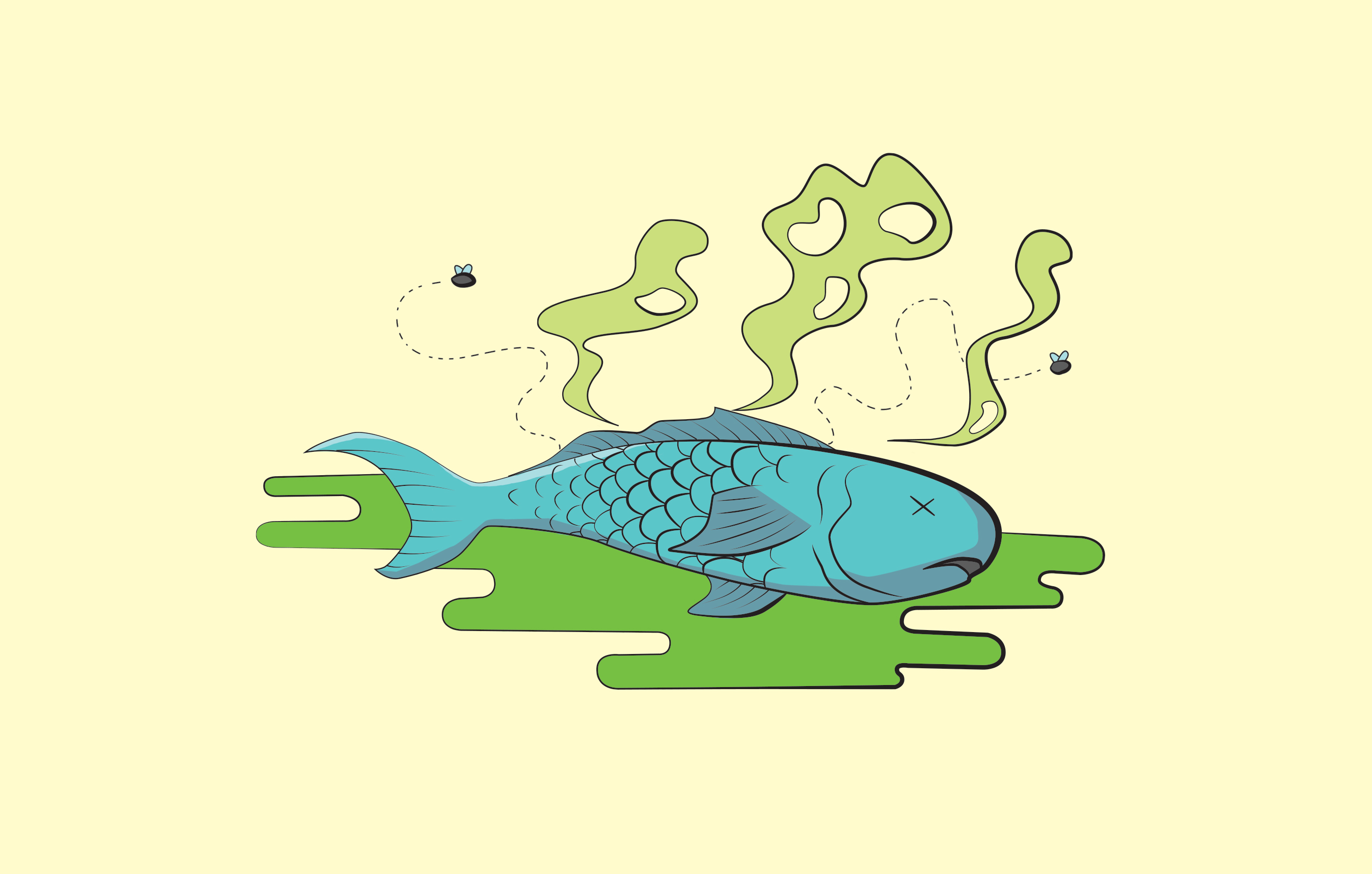 Fish smell