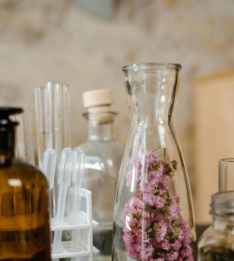 Aromatherapy overview
