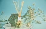 Aromatherapy for beginners