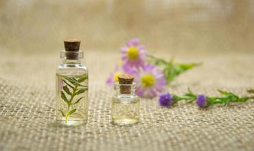 Scent families