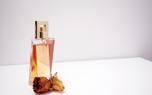 Reed diffuser