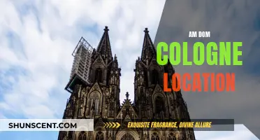 Exploring Cologne: The Unique Am Dom Location