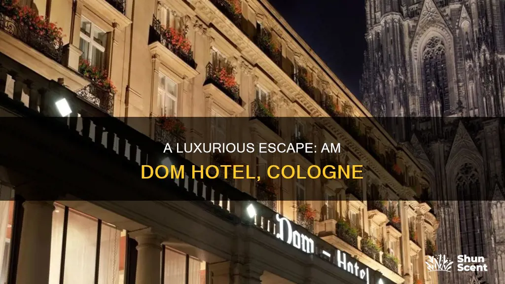 am dom hotel cologne