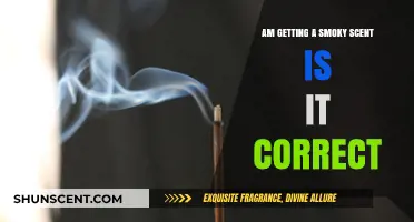 Is That Smoky Scent Correct? Understanding Your Olfactory Experience