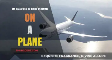 What's the Deal With Bringing Perfume on a Plane?