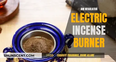 The Electric Incense Burner: A Safe, Regulated Experience