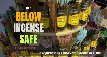 Incense Safety: 5 Below Incense Safe to Use?