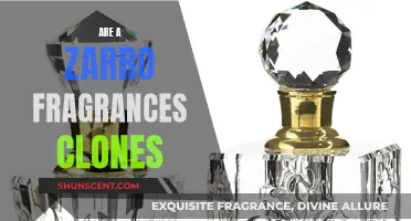 Zarro Fragrances: Inspired or Cloned Scents?