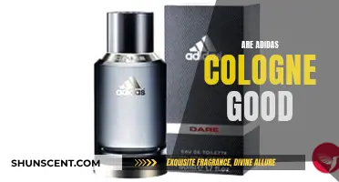 Adidas Colognes: Are They Worth the Hype?