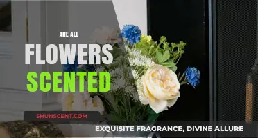 Do All Flowers Have Scents? Unveiling the Fragrant Truth