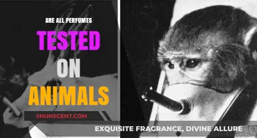 Cruelty-Free Scents: Are Perfumes Tested on Animals?