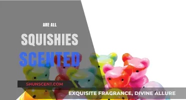 Do All Squishies Have Scents? Unraveling the Aromatic Mystery