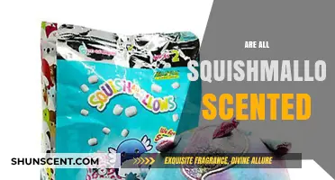 Do All Squishmallows Have Scents? Unraveling the Aromatic Mystery
