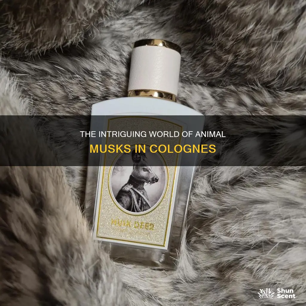 are animal musks used in cologne