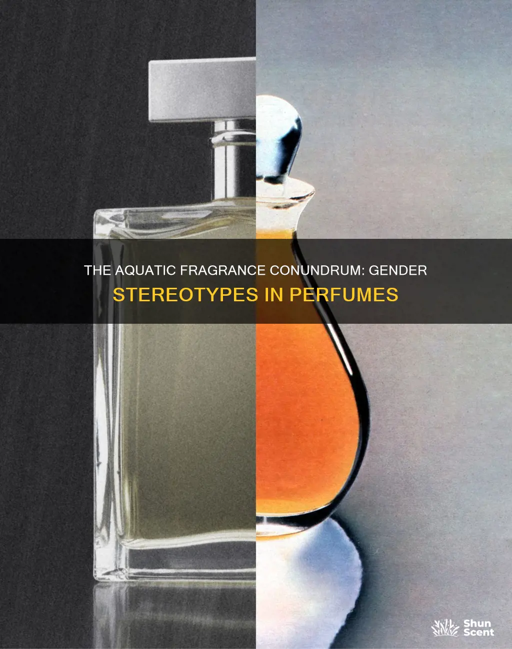 are aquatic fragrances maaculine feminine