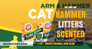 Are Arm & Hammer Cat Litters Scented? Find Out Here