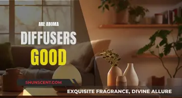 Aroma Diffusers: Healthy Air, Healthy Mind?