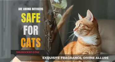 Aroma Diffusers and Cats: What's Safe?