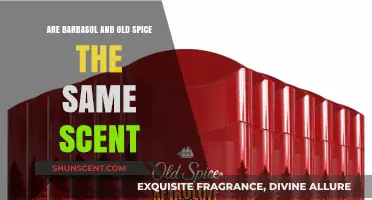 Barbasol vs. Old Spice: Unraveling the Scent Mystery