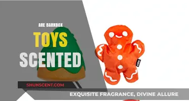Do BarkBox Toys Have Scents? Unveiling the Aromatic Truth