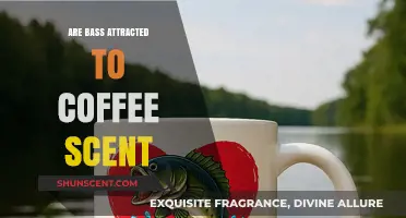 Does Coffee Scent Lure Bass? Uncovering the Truth for Anglers