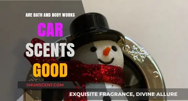 Are Bath & Body Works Car Scents Worth the Hype?