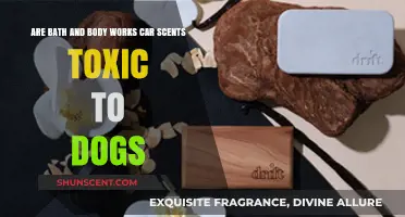 Are Bath & Body Works Car Scents Safe for Dogs?
