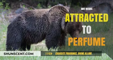 Perfumes: Do Bears Like Them or Not?
