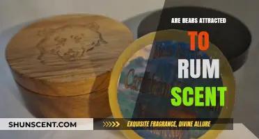 Do Bears Crave Rum? Exploring the Attraction to Its Scent