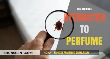 Bed Bugs and Perfume: What's the Connection?