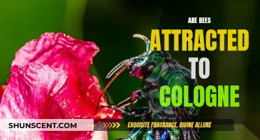 The Sweet Smell of Attraction: Bees and Cologne