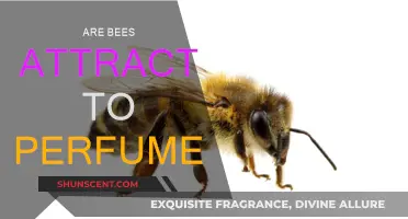 The Sweet Smell of Attraction: Bees and Perfume