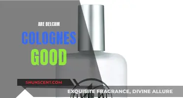 Belcam Colognes: Are They Worth the Hype?