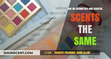 Are BH Cosmetics and Coastal Scents Identical Brands? Unveiling the Truth