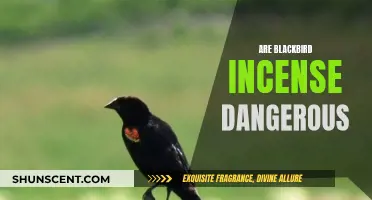 Blackbird Incense: Are They Safe or Toxic?
