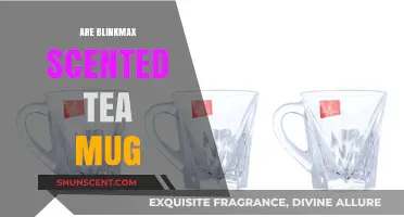 BlinkMax Scented Tea Mug: Aroma-Infused Brewing Experience Explored