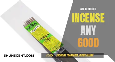 Bluntlife Incense: Are They Worth the Hype?
