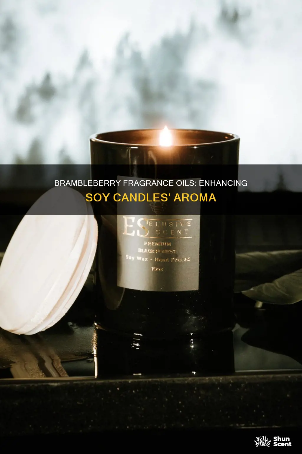 are brambleberry fragrance oils good in soy candles