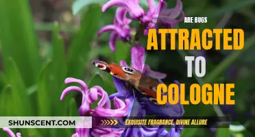 Bugs and Cologne: What's the Attraction?