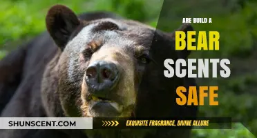 Are Build-A-Bear Scents Safe for Kids and Pets?