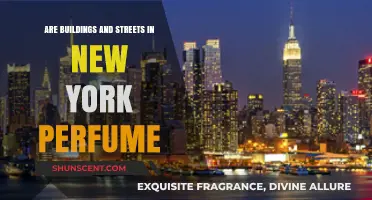 The City's Scents: New York's Streets and Buildings