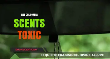 Are California Scents Toxic? Uncovering the Truth About Air Fresheners