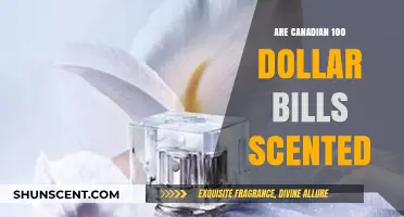 Do Canadian $100 Bills Have a Unique Scent? Find Out!