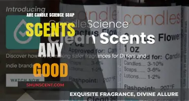 Are Candle Science Soap Scents Worth the Hype? A Review