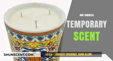 Are Candles Temporary Scents? Exploring Fragrance Longevity and Impact