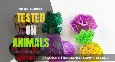 Car Fragrances: Animal Testing, Necessary Evil?