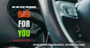 Are Car Scent Fresheners Harmful to Your Health?