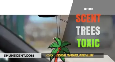 Are Car Scent Trees Toxic? Uncovering the Truth About Air Fresheners