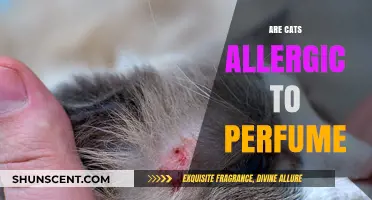 Perfumes and Cats: What You Need to Know